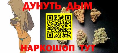 сатива Бузулук