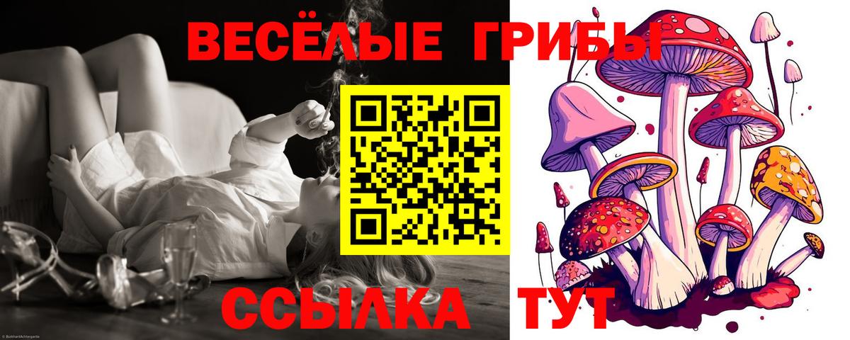 Галлюциногенные грибы прущие грибы Кисловодск