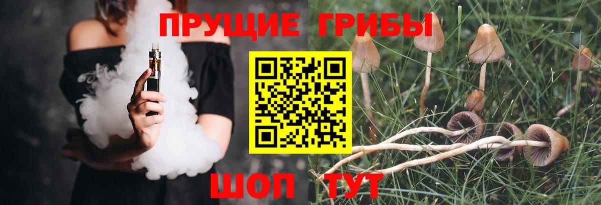 как найти закладки  Псилоцибиновые грибы прущие грибы  Вход с VPN  Галлюциногенные грибы мухоморы  Кисловодск 